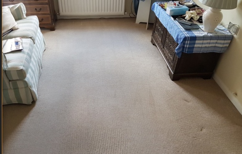 Carpet Cleaning in Woking after