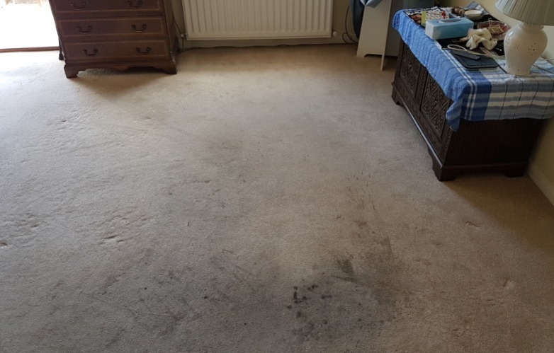 before Carpet Cleaning in Woking