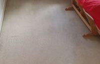 Carpet Cleaning in Woking after