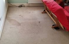 Carpet Cleaning in Woking before