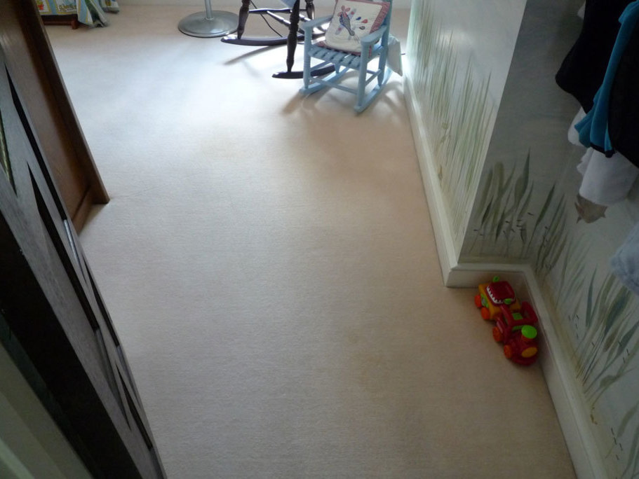 after Professional Carpet Cleaning in Woking