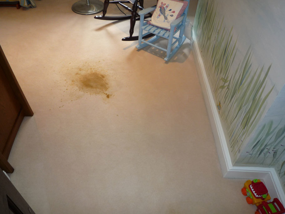 before Professional Carpet Cleaning in Woking
